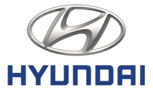 Tanque Radiador Hyundai Tucson / Kia Sportage Liso Largo