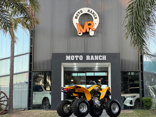 Imagen 8 de 11 de Can-am Ds 250 2017 Automatico 4x2, Igual A 0km !