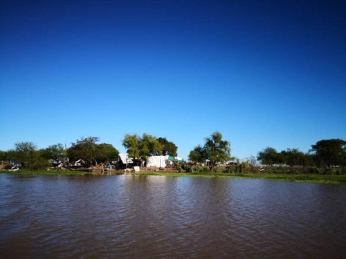 Imagen 15 de 29 de Campo De Isla Ganadero, 2.000 Has Sobre El Paranacito