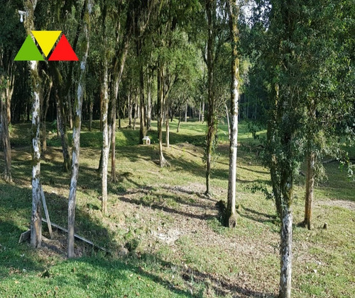 Imagem 7 de 30 de Chácara Em Cai De Baixo - Ch00088 - 34982990