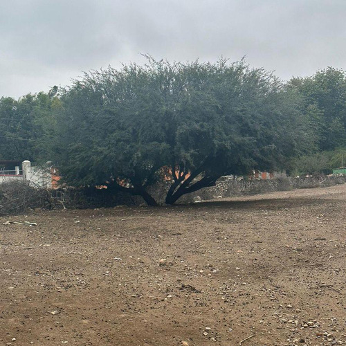 Terreno Tequisquiapan Centro Sup. 3,500 Mts