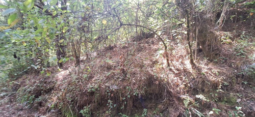 Gran Oportunidad! Terreno De 40 Hectáreas Sobre Carretera A Los Saucos