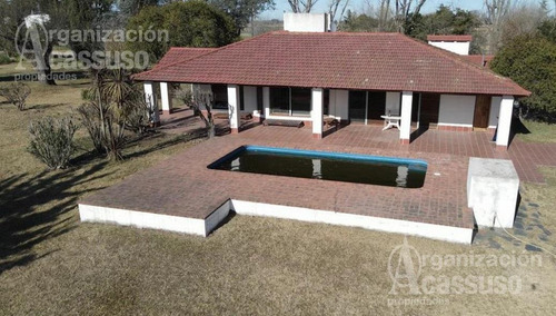 Imagen 3 de 17 de Chacra - Carmen De Areco