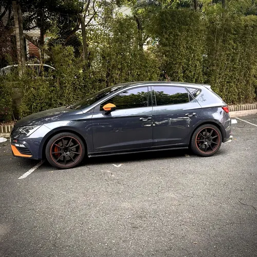 Seat Leon Cupra 290
