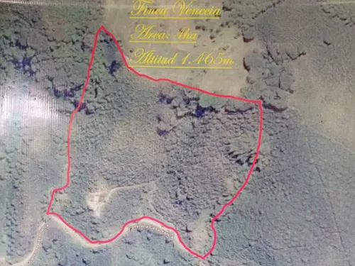 Venta De Finca Cafetera En Fresno Tolima