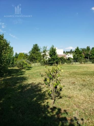 Imagen 5 de 10 de Terreno - Lomas De San Antonio