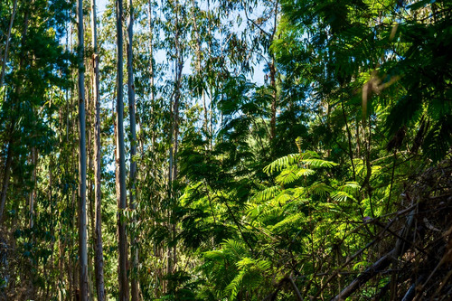 Sitios En Condominio Quebrada Küyen De Pichilemu
