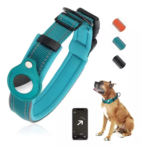 Dasbulk Collar Perro para Airtag, Collar Perro Ajustable, Collar Perro  Nylon con Acolchado de Neopreno, Collar Reflectante para Perros Pequeños y  Perros Medianos, Airtag no Incluido (S, Azul) : : Productos para