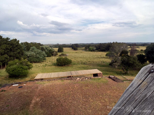 Imagen 1 de 30 de Chacra Con Piscina En Venta - Punta Ballena