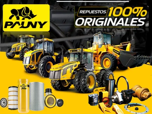 Repuestos Pauny Original