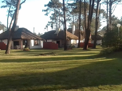 Cabañas Tío Con En La Paloma