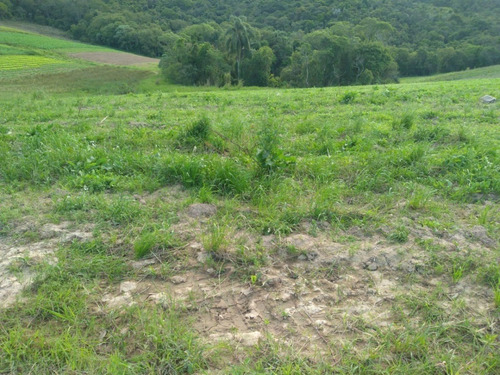 Imagem 29 de 30 de 20o Terreno A Venda Para Investimento