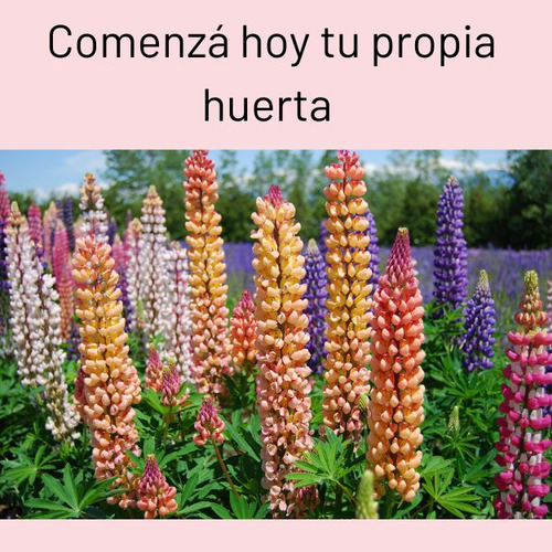 Kit Combo Jardin Semillas Flores Lupinas Huerta Organica