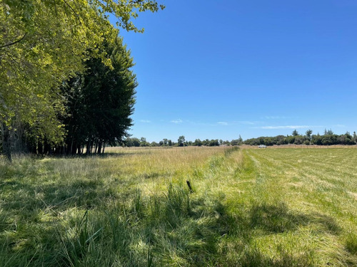 Imagen 6 de 10 de Parcela En Yumbel De 15.000m2