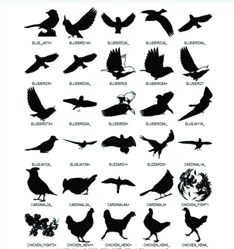 Vectores De Aves