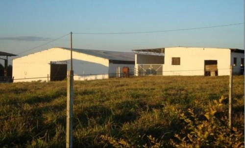 Imagem 5 de 14 de Fazenda Para Venda Em Bofete, Rural - Faz 098_1-2107800