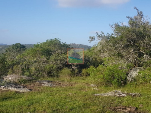 Imagen 5 de 13 de Chacras 5 Hás En Fraccionamiento Altos De Aiguá