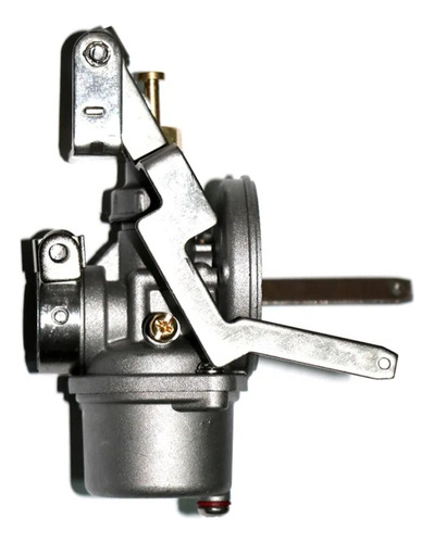Carburador Completo Motor De Popa Evinrude 3.3 Hp 2 Tempo