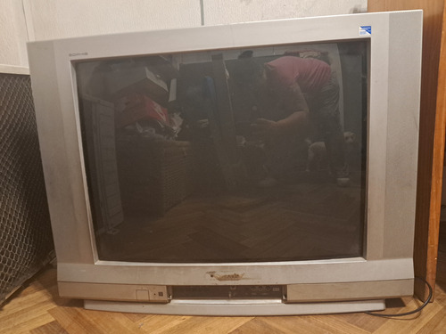 Televisor Panasonic 29 Pulgadas