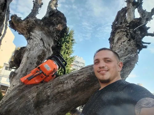 Poda De Arboles Servicio De Poda Tala Extracción De Raíz