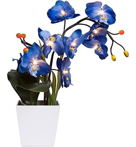Orchid & Ivy Planta De Flor De Orquídea Artificial Azul Ilum