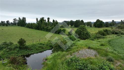 Agrícola En Venta En Lago Ranco La Unión