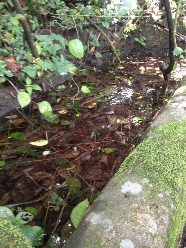 Rancho Ganadero O Para Siembra