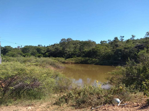 Imagem 13 de 19 de Fazenda Para Comprar No Fazenda Minama Em Santana De Pirapama/mg - 1731