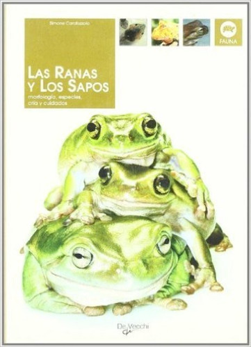Las Ranas Y Los Sapos, Simone Caratozzolo, Vecchi