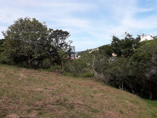 Terreno Para Venda Em Ferraz Garopaba-sc - Tv246