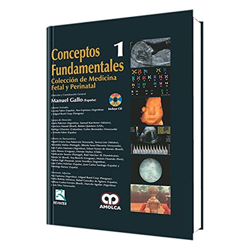 Libro Conceptos Fundamentales De Miguel Ruoti Cosp, Ernesto