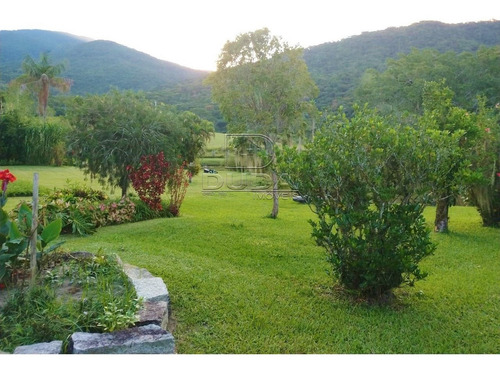 Imagem 12 de 15 de Sitio - Bom Retiro - Ref: 34332 - V-34329