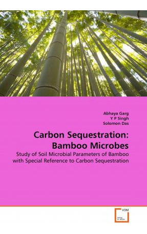 Libro Carbon Sequestration - Solomon Das