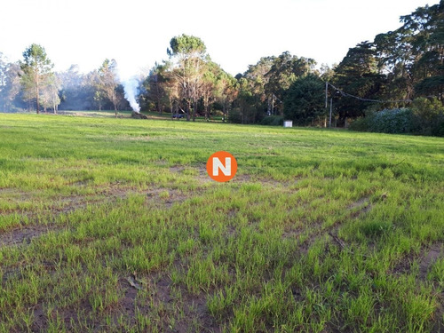 Imagen 3 de 5 de Terreno En En Rincon Del Indio - Punta Del Este - Punta Del Este Rincón Del Indio