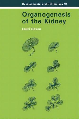 Developmental And Cell Biology Series: Organogenesis Of The Kidney Series Number 19, De Lauri Saxen. Editorial Cambridge University Press, Tapa Dura En Inglés