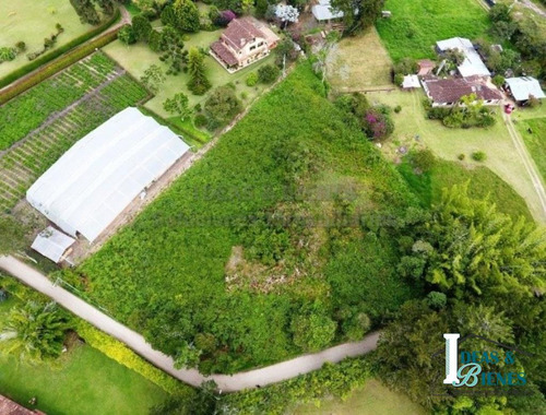 Lote En Venta Rionegro Sector Llano Grande 