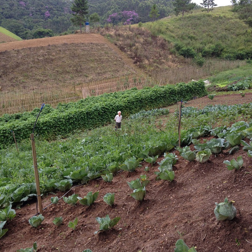 Imagem 13 de 29 de Vendo Terreno 260.000m² Ou 26,1ha Em Guapiara Sp Opções: Plantio, Criação De Gado, Turismo E Outros