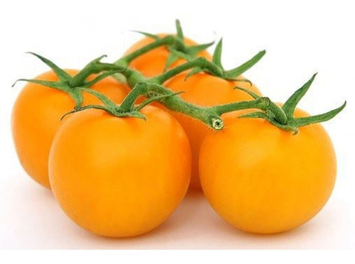 Tomate Golden Nugget 30 Sementes Para Mudas