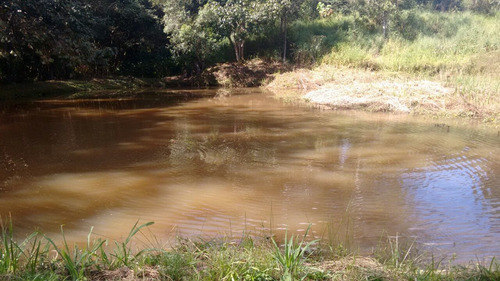Sitio Com 50.000 Metros Quadrados Em Caxambu Sul De Minas , 09 Klm Da Cidade, Muita Água,bom Para Piscicultura, 03 Lagos Com Peixe. - 246