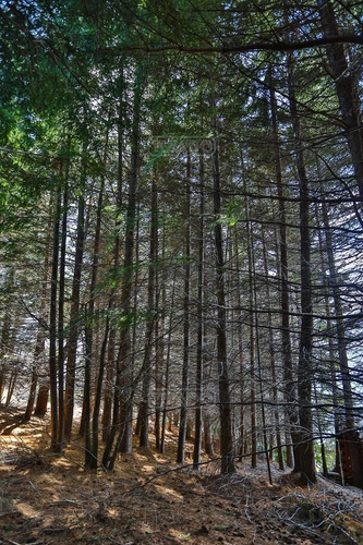 Imagen 6 de 29 de Terreno Lote En Venta Ubicado En Villa Campanario, Bariloche, Patagonia