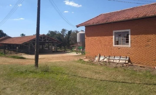 Imagem 25 de 29 de Fazenda 155 Alqueires, Terra Fértil, Rica Em Água Com Rio, 120 Alqueires Para Lavoura, 20 Alqueires Em Eucalipto, Casa Sede, Casa Caseiro, Curral - Fa00262 - 70837159