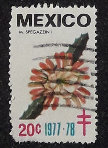Timbre Postal Sello Estampilla México M. Spegazzinii