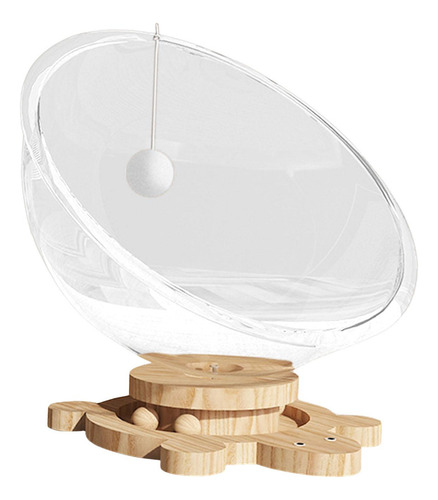Cama Para Gatos En Cápsula Transparente, Cama Para L