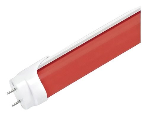Tubo De 60cm Led De Color Rojo
