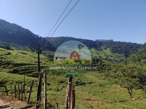 Imagem 18 de 28 de Fazenda À Venda No Vale Do Ribeira Sp Medindo 87,5 Alqueires Paulista Ref0978