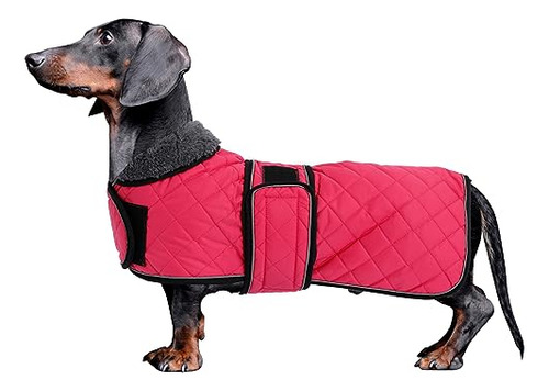 Morezi Dachshund Coats, Abrigo Para Perro Salchicha, Abrigo 