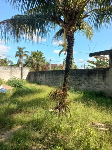 Imagem 29 de 29 de Casa Com Quintal
