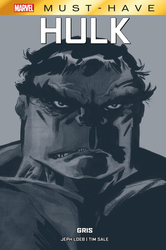 Libro Hulk Gris - Tim Sale