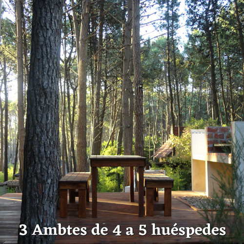 En El Bosque A 200m Del Mar, 300m Del Centro.