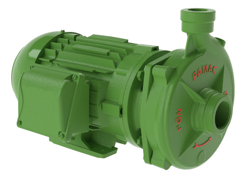 Motobomba Centrífuga Fgn-2 4cv Motor I P 55 Weg Trif Famac Cor Verde Fase elétrica Trifásica 220V/380V TRIFÁSICO